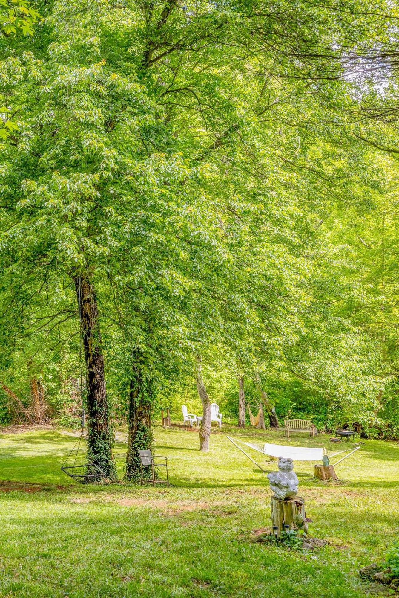 Waterfront Cabin 20 Mins To National Park & Massanutten! Stanardsville 외부 사진