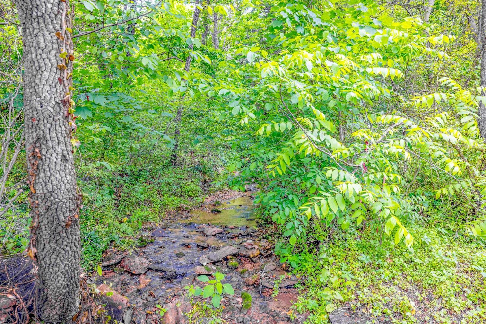 Waterfront Cabin 20 Mins To National Park & Massanutten! Stanardsville 외부 사진